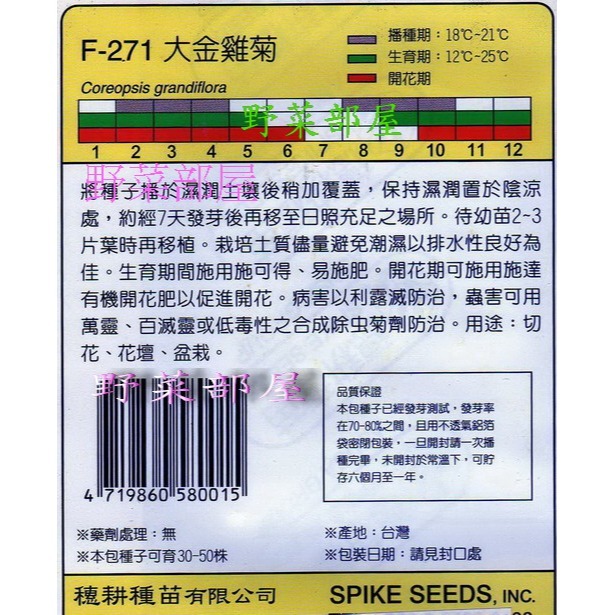 【萌田種子~】Y19 大金雞菊Tickseed~穗耕種苗~天星牌原包裝種子~-細節圖2