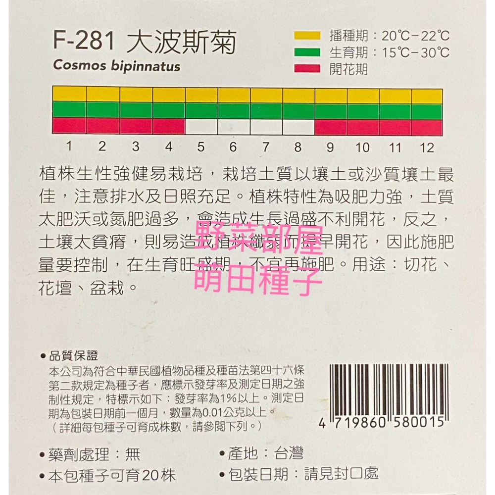 【萌田種子~】Y21 大波斯菊Cosmos bipinnatus~穗耕種苗~天星牌種子~波斯菊種子~-細節圖2