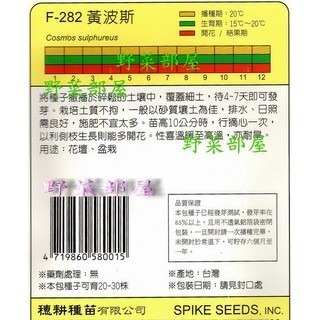 【萌田種子~】Y22 黃波斯菊Yellow Cosmos~穗耕種苗~天星牌種子~-細節圖3