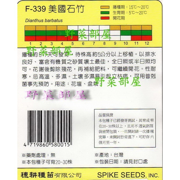 【萌田種子~】Y25 美國石竹Sweet William~穗耕種苗~天星牌種子~-細節圖2