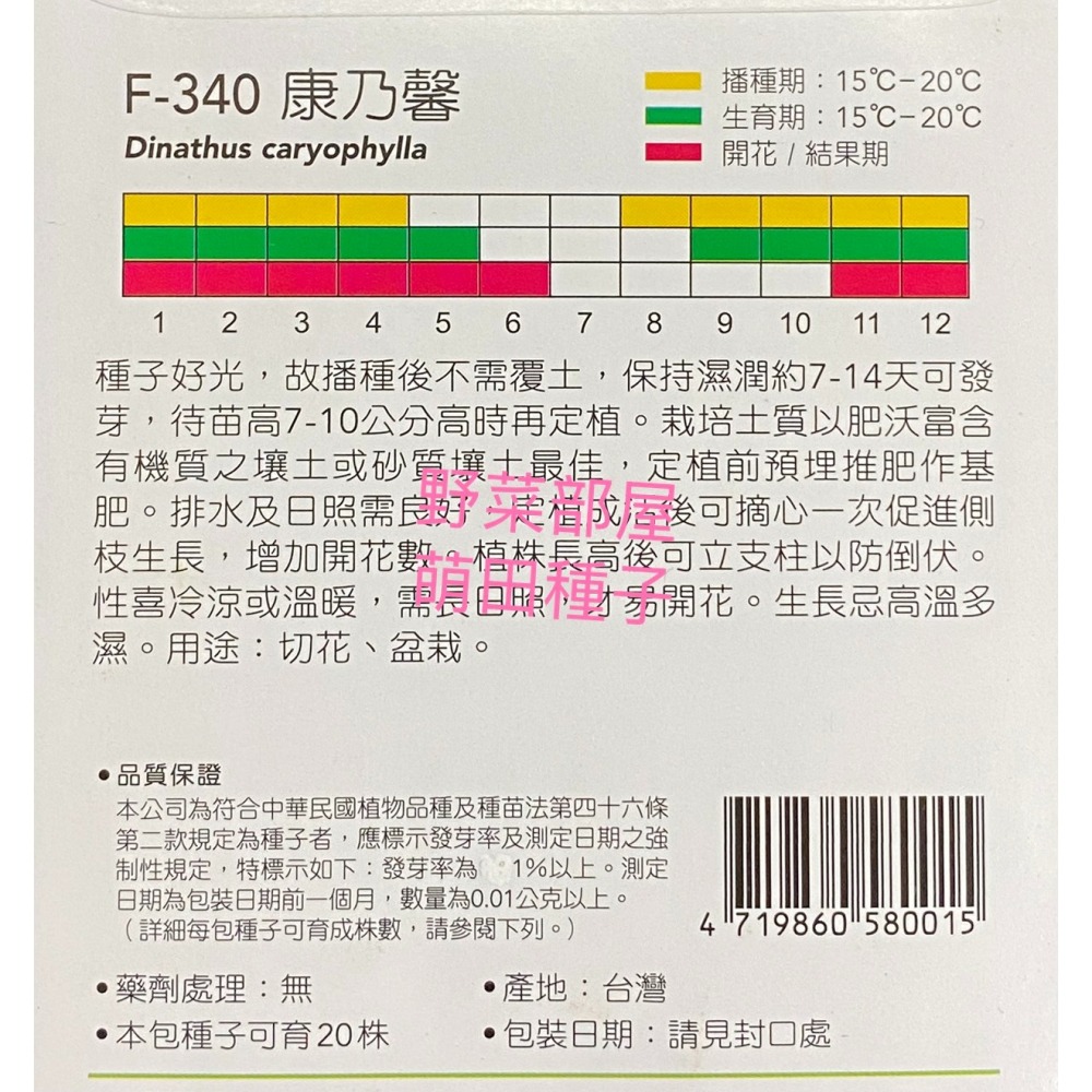 【萌田種子~】Y26 康乃馨Carnation~穗耕種苗~天星牌種子~-細節圖2