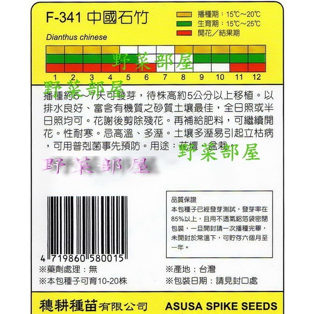 【萌田種子~】Y27 中國石竹Chinesis Dianthus~穗耕種苗~天星牌種子~-細節圖2
