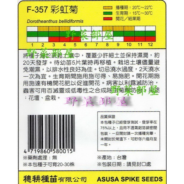 【萌田種子~】Y29 彩虹菊Livingstone Daisy~穗耕種苗~天星牌種子~-細節圖2