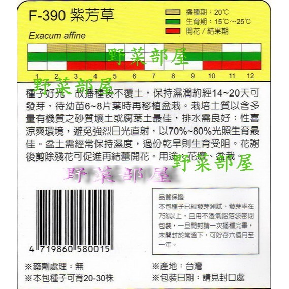【萌田種子~】Y32 紫芳草Exa Exacum~穗耕種苗~天星牌種子~-細節圖2