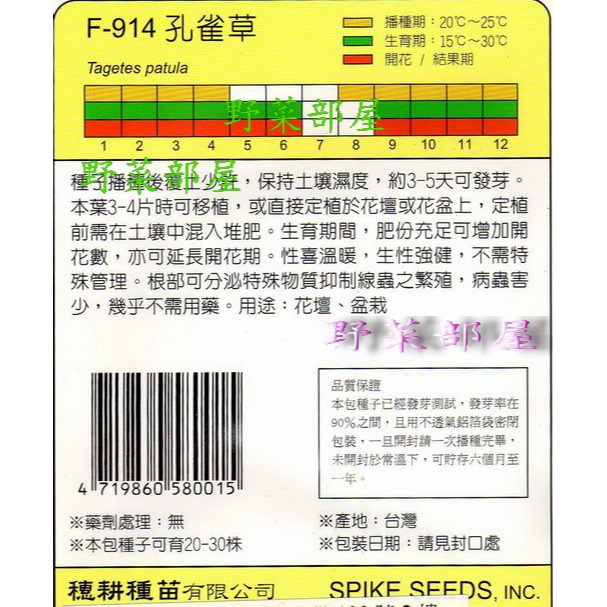 【萌田種子~】Y71 孔雀草Marigold~穗耕種苗~天星牌種子~-細節圖2