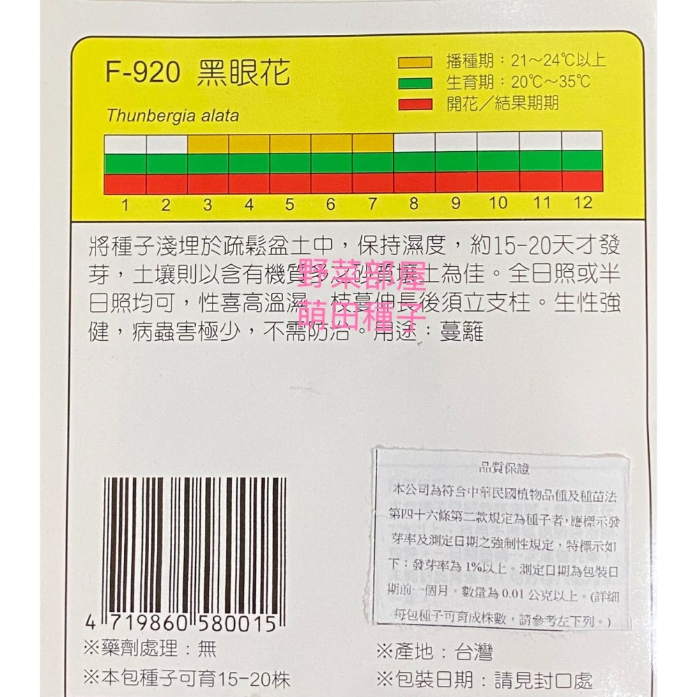 【萌田種子~】Y72 黑眼花(混合色)Black-eyed Susan Vine~穗耕種苗~天星牌種子~-細節圖2