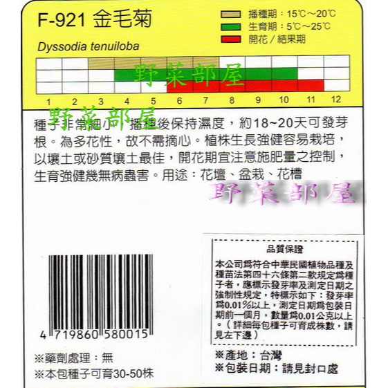 【萌田種子~】Y73 金毛菊Dyssodia~穗耕種苗~天星牌種子~-細節圖2
