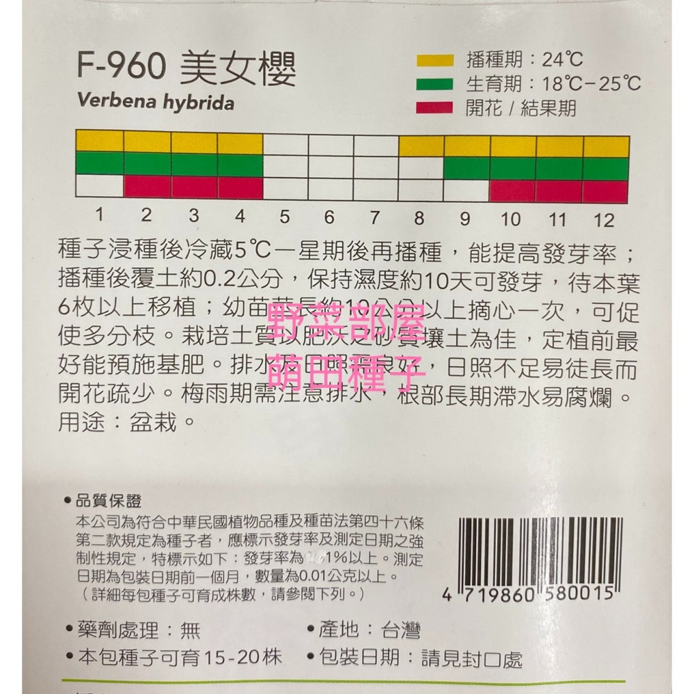 【萌田種子~】Y75 美女櫻Verbena~穗耕種苗~天星牌種子~-細節圖2