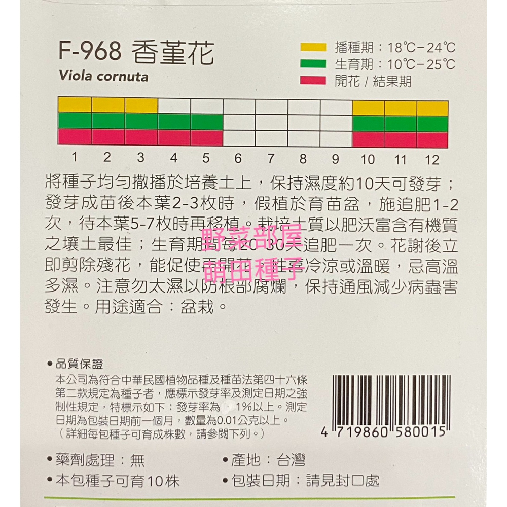 【萌田種子~】Y76 香堇花Viola~穗耕種苗~天星牌種子~-細節圖2