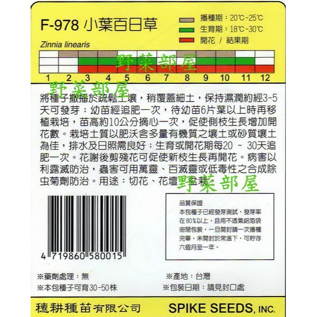 【萌田種子~】Y78 小葉百日草Narrow leaf Zinnia~穗耕種苗~天星牌種子~-細節圖2