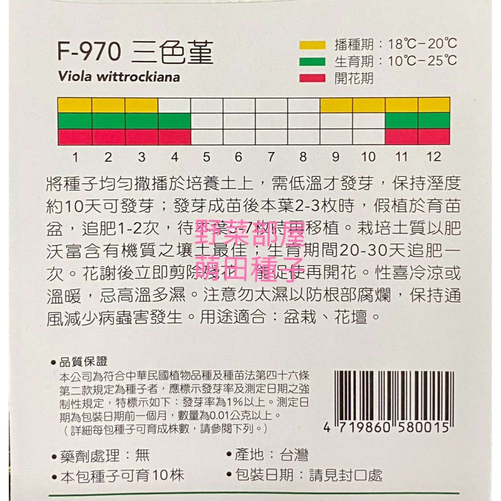 【萌田種子~】Y84 三色堇Pansy~穗耕種苗~天星牌種子~-細節圖2