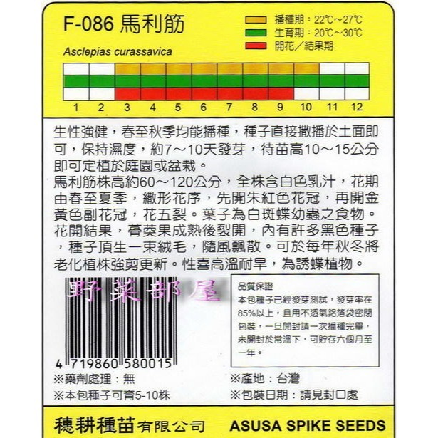 【萌田種子~】Y90 馬利筋 ~天星牌原包裝種子~-細節圖2