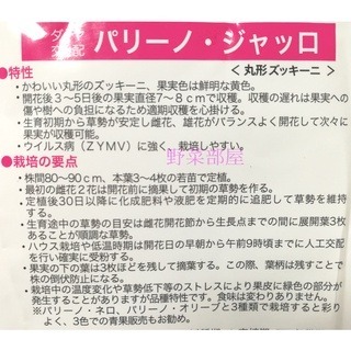 【萌田種子~】Z15 黃色圓型櫛瓜種子2粒 , 果實漂亮黃色 ~-細節圖2