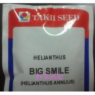 【萌田種子~】Z16 矮性向日葵 ~ ＂大微笑＂種子10顆 , 進口種子 ,株高30-40公分,花徑15-17公分~-細節圖3