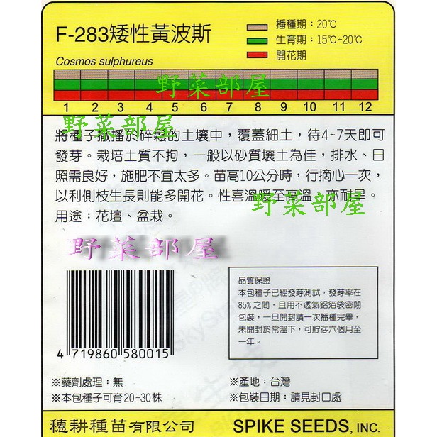 【萌田種子~花卉種子】Y23 矮性黃波斯Dwarf Yellow Cosmos~穗耕種苗~天星牌種子~每包17元~-細節圖2