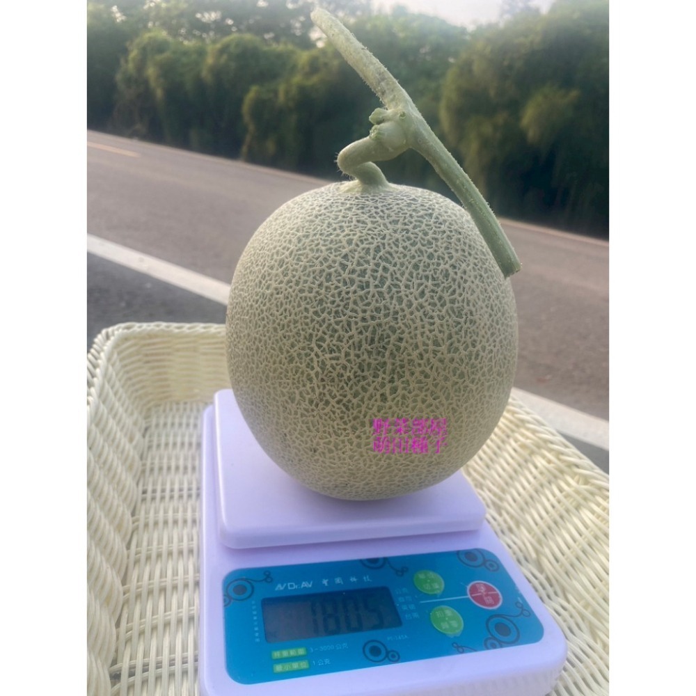 【萌田種子~】R51 紅櫻洋香瓜種子1粒 ,秋冬季品種 ,紅肉 ,皮薄果肉厚 ,網紋洋香瓜 ,抗病性強~-細節圖6