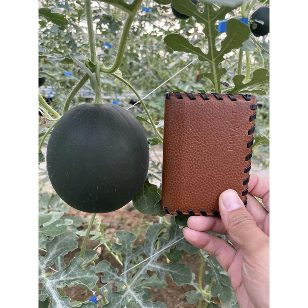 【萌田種子~】R48 小黑迷你西瓜種子1粒 ,圓球形西瓜 ,紅肉西瓜 ,外皮黑到發亮 ,口感細緻~-細節圖6