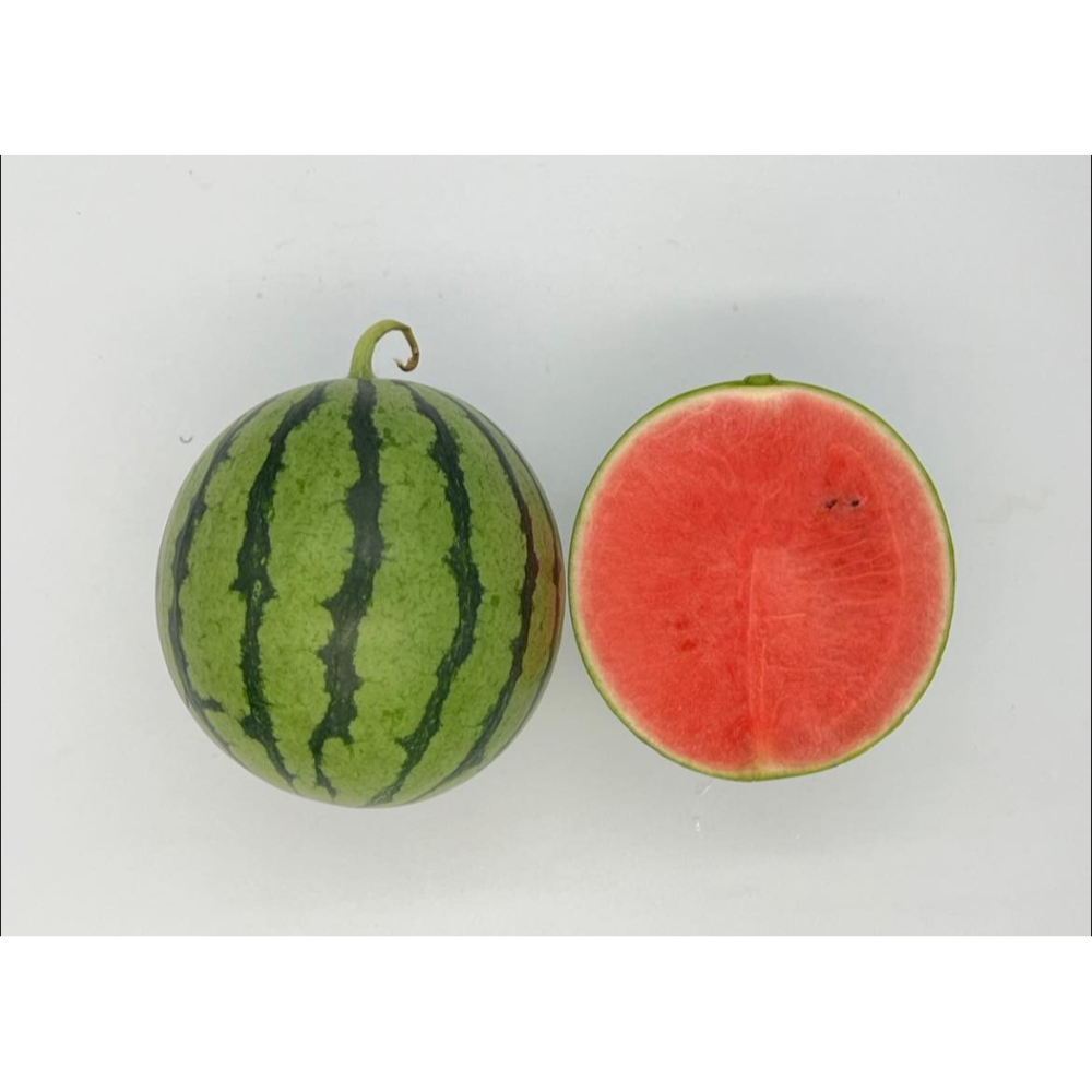 【萌田種子~】R49 亞虎迷你西瓜種子1粒 ,迷你籽 ,皮薄肉脆 ,小西瓜 ,甜度高 ,抗病性高~-細節圖2