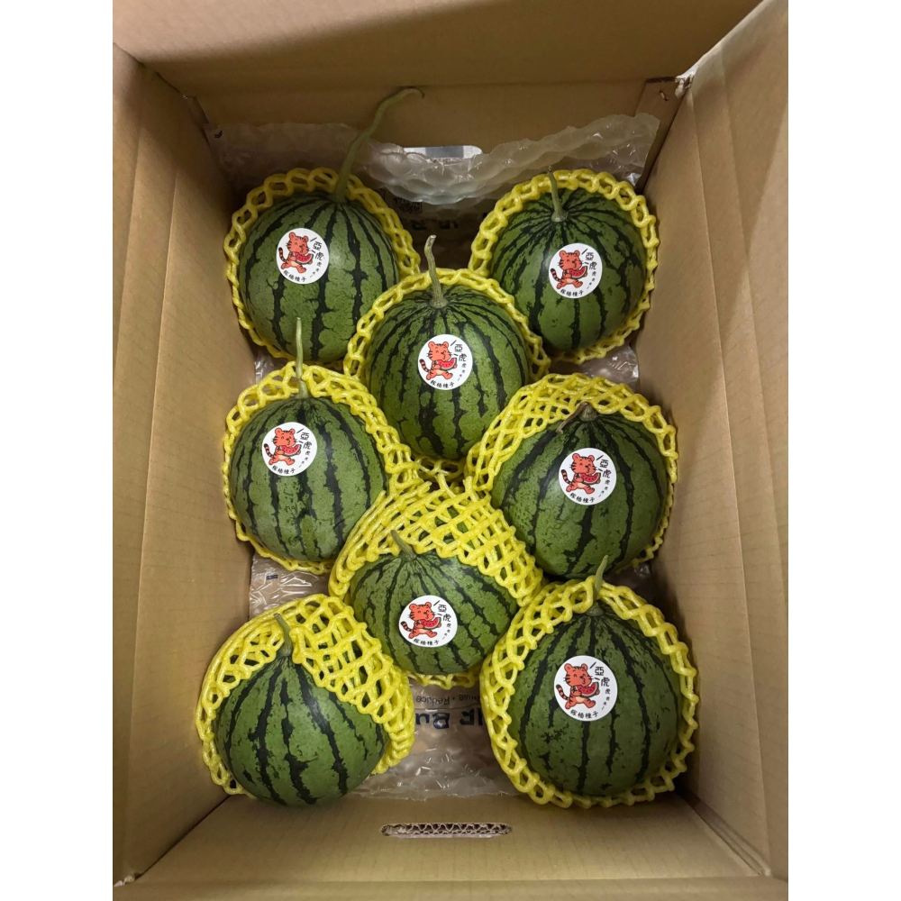 【萌田種子~】R49 亞虎迷你西瓜種子1粒 ,迷你籽 ,皮薄肉脆 ,小西瓜 ,甜度高 ,抗病性高~-細節圖5