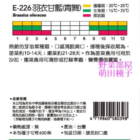 【萌田種子~】Q18 青舞羽衣甘藍種子kale Green 穗耕種苗 天星牌原包裝種子~-細節圖2