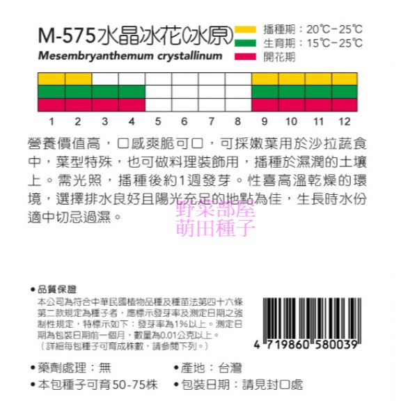 【萌田種子~】S24 水晶冰花種子Ice Crystal 穗耕種苗 天星牌原包裝種子~-細節圖2
