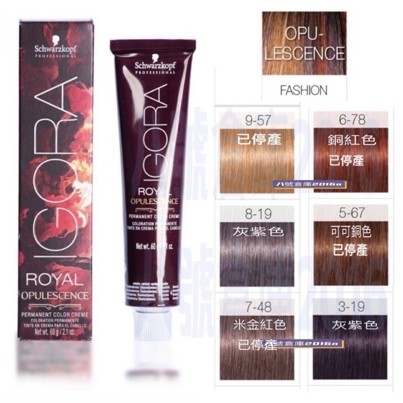 德國 Schwarzkopf 施華蔻 染膏 染髮劑 IGORA 新尹彩 沙龍 蓋白髮 白髮 染髮 矯色 褪色膏 退色膏-細節圖7