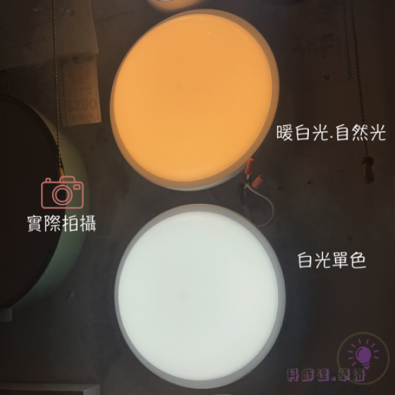 1坪多適用！BSMI認證20W吸頂燈！防水等級IP65防潮防蟲！陽台燈/玄關燈/廚房燈/儲藏室燈/吸頂燈.-細節圖3