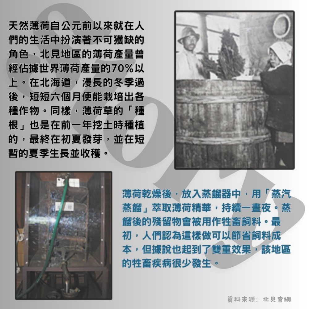 日本原裝【北見薄荷油】 滾珠瓶 /噴霧  Kitty 聯名限定版 清涼舒緩 精油滾珠 隨身攜帶好方便-細節圖6