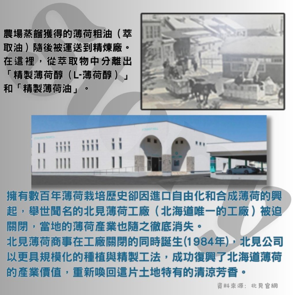 日本原裝【北見薄荷油】 滾珠瓶 /噴霧  Kitty 聯名限定版 清涼舒緩 精油滾珠 隨身攜帶好方便-細節圖7