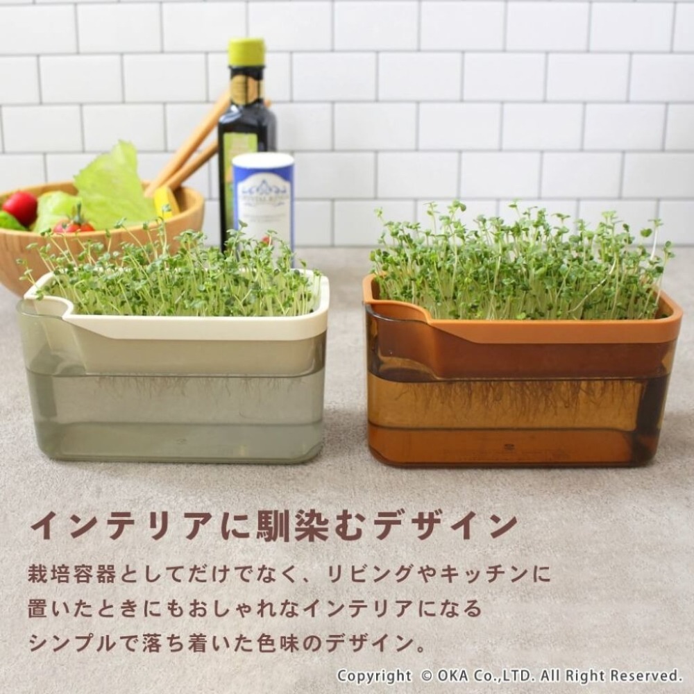 【日本oka】PLYS VEGE MAGIC 發芽瓶 水耕栽培豆苗罐 室內芽菜種植器 日本製 簡約設計 廚房綠植裝飾-細節圖2