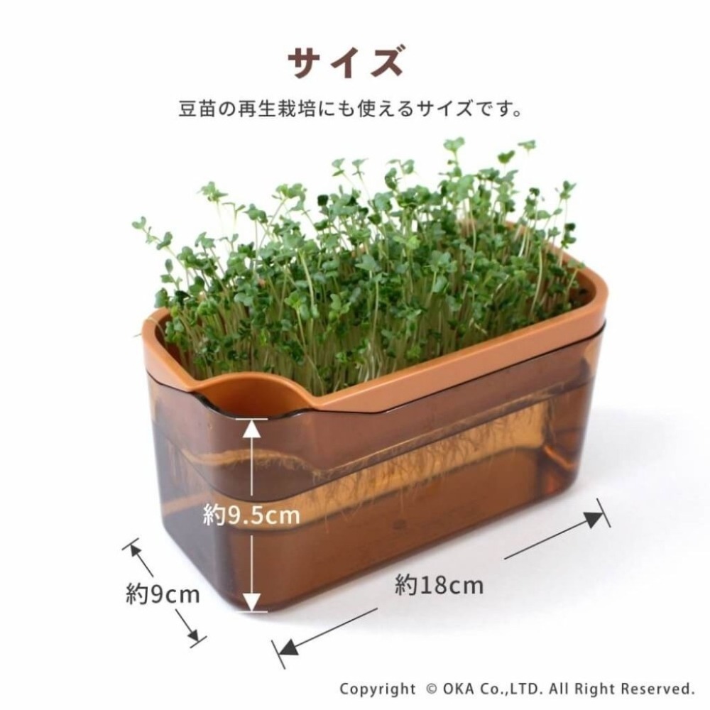 【日本oka】PLYS VEGE MAGIC 發芽瓶 水耕栽培豆苗罐 室內芽菜種植器 日本製 簡約設計 廚房綠植裝飾-細節圖6
