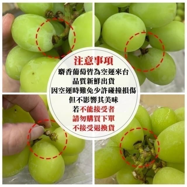 日本進口麝香葡萄禮盒(每串450-500g) 0運費【果之蔬】日本葡萄 無籽葡萄 綠葡萄 日本綠葡萄 日本水果-細節圖10