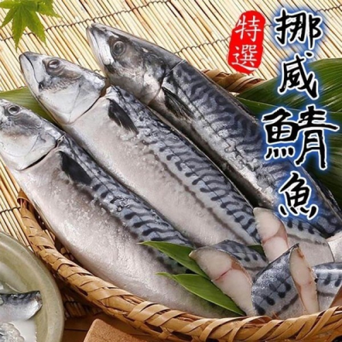 特選挪威薄鹽鯖魚(每片約80-100g) 0運費【海陸管家】