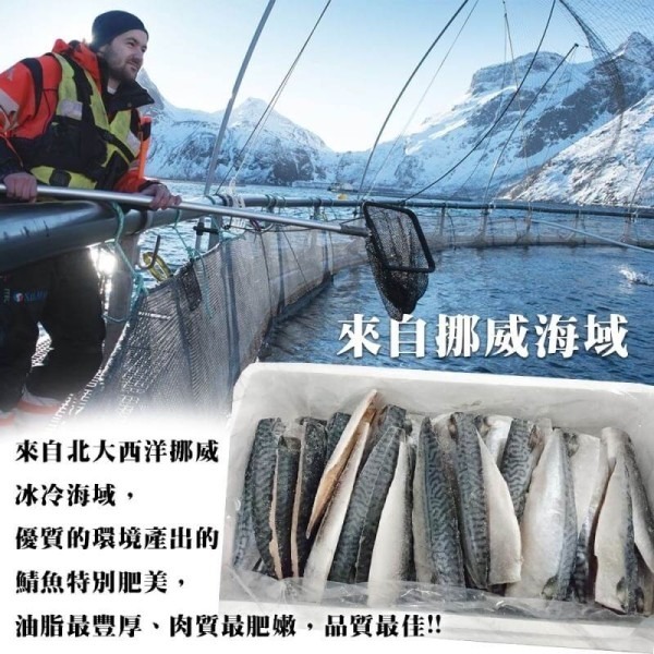 特選挪威薄鹽鯖魚(每片約80-100g) 0運費【海陸管家】-細節圖4