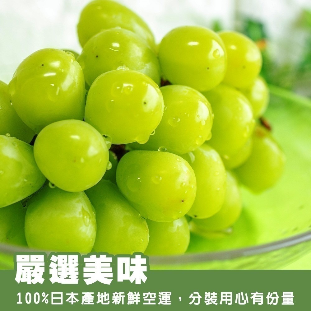 日本長野/山梨縣溫室麝香葡萄禮盒(每串350g±10%) 0運費【果之蔬】日本葡萄 無籽葡萄 綠葡萄 日本綠葡萄-細節圖9