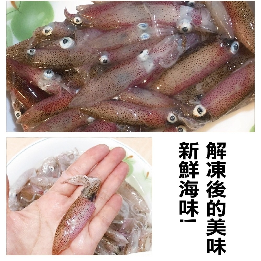 澎湖活凍生小管/小卷(每盒300g±10%)【海陸管家】滿額免運-細節圖2