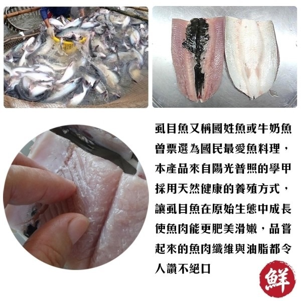 台南老饕XL超大片去刺虱目魚肚(每片220g±10%)【海陸管家】滿額免運-細節圖7