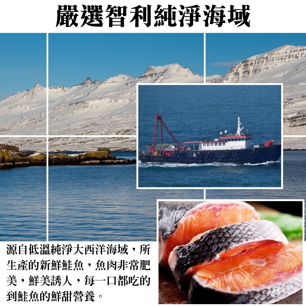智利厚切鮭魚切片(每片300g±10%)【海陸管家】滿額免運-細節圖3