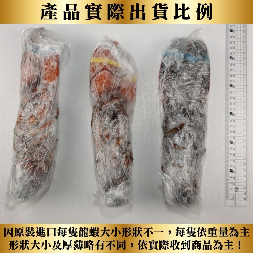 加拿大波士頓大龍蝦(每隻500-600g) 0運費【海陸管家】-細節圖8