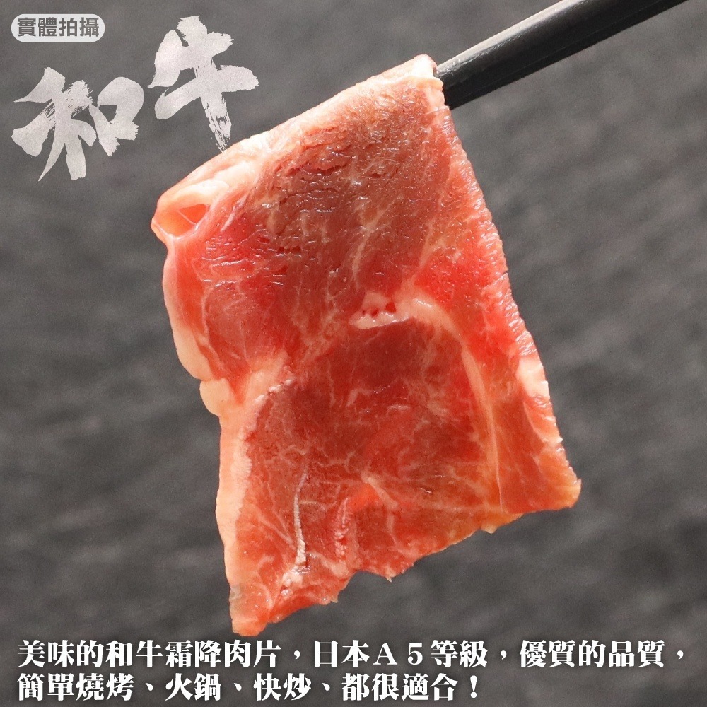 日本A5和牛熟成霜降肉片(每盒100g±10%) 滿額免運-細節圖3