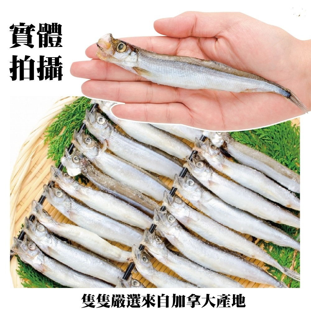 加拿大鮮凍爆卵柳葉魚(每包5-8尾/200g±10%)【海陸管家】滿額免運-細節圖7