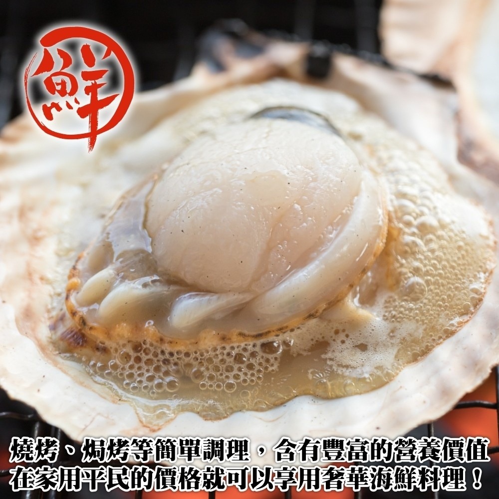 人氣熱賣生鮮半殼扇貝(每包500g±10%/約5-9顆)【海陸管家】滿額免運-細節圖5