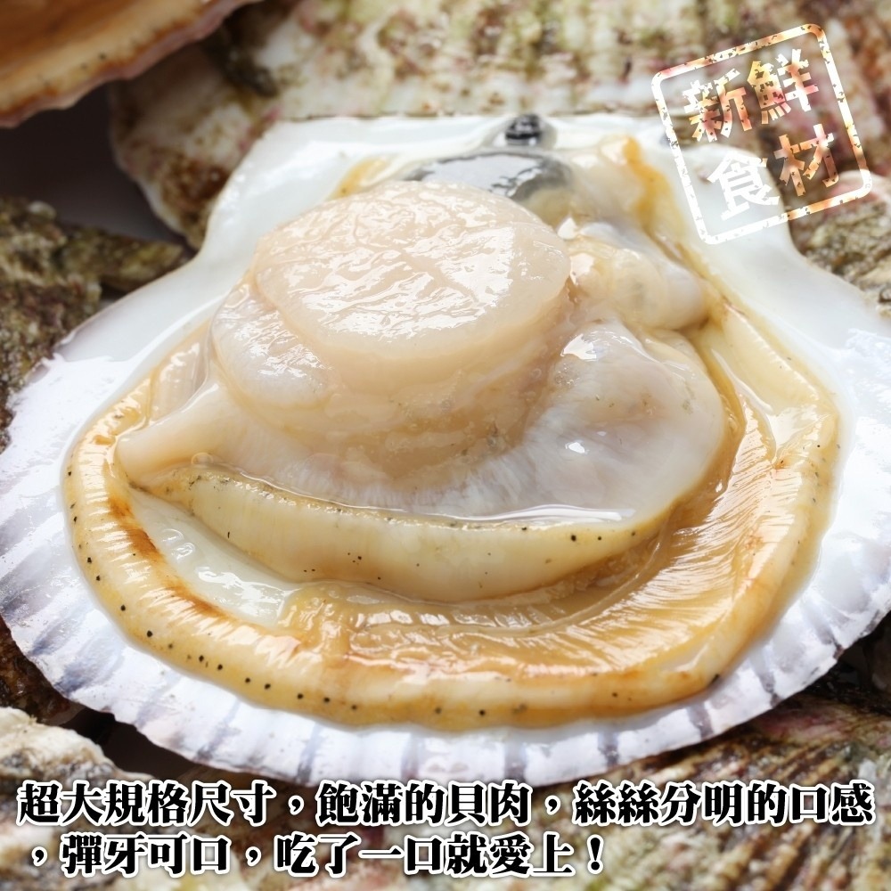 人氣熱賣生鮮半殼扇貝(每包500g±10%/約5-9顆)【海陸管家】滿額免運-細節圖6