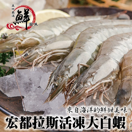 宏都拉斯活凍白蝦(每盒48-56隻/1kg±10%)【海陸管家】滿額免運