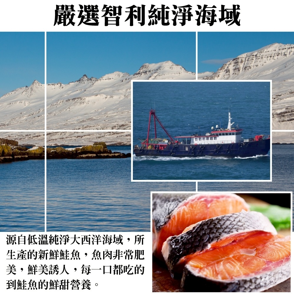 頂級深海鮭魚肚條(每包300g±10%)【海陸管家】滿額免運 鮭魚肚 鮭魚腹肉 魚肚肉 魚腹條-細節圖3