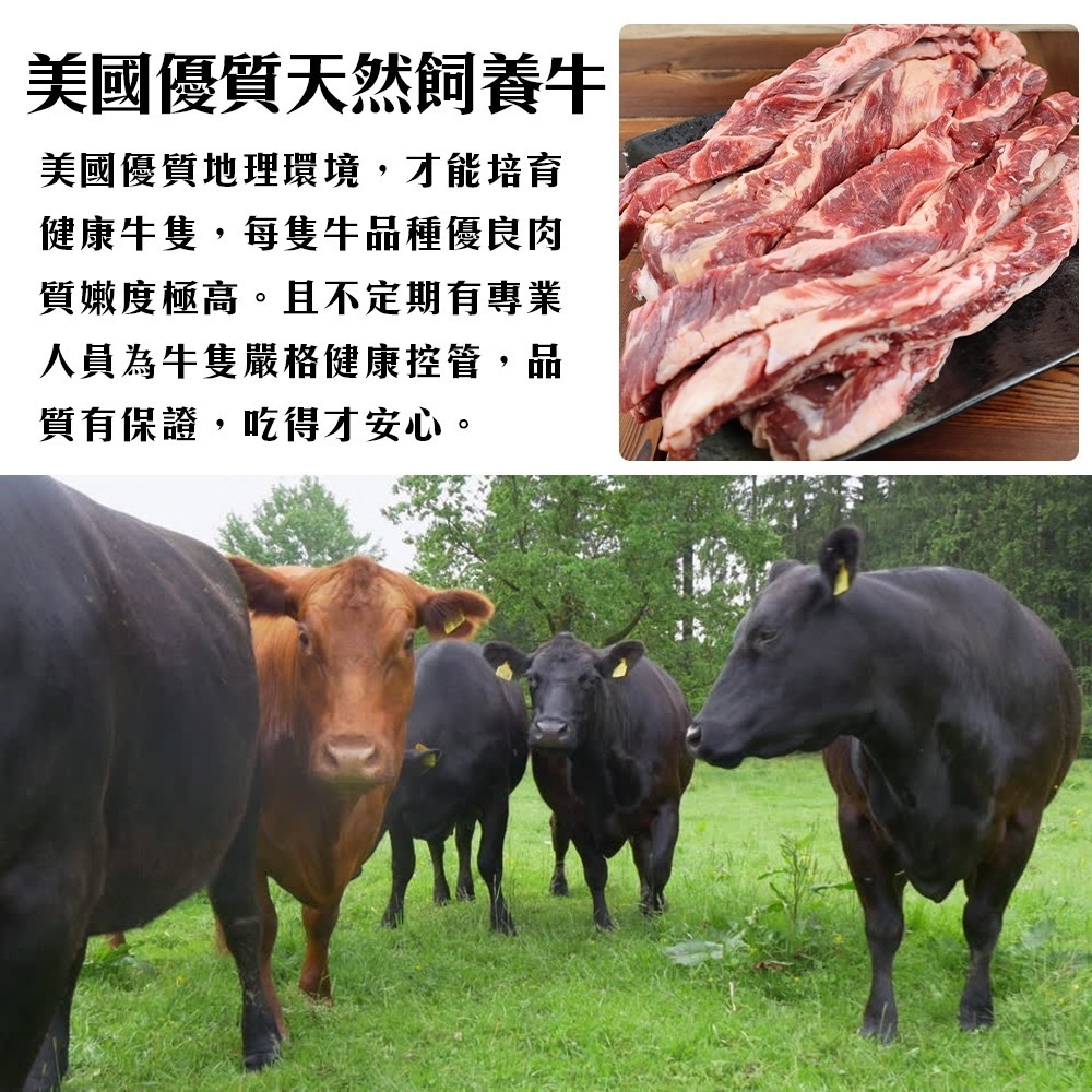 嚴選美國全牛套組8件組 贈日本烤肉醬 0運費【海陸管家】-細節圖2