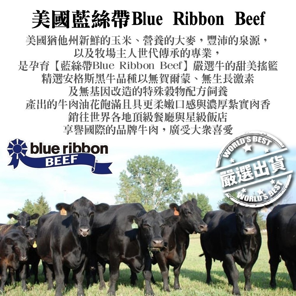 嚴選美國全牛套組12件組 0運費【海陸管家】BBQ 燒烤 烤肉組 牛排 牛肉片 贈日本烤肉醬-細節圖2