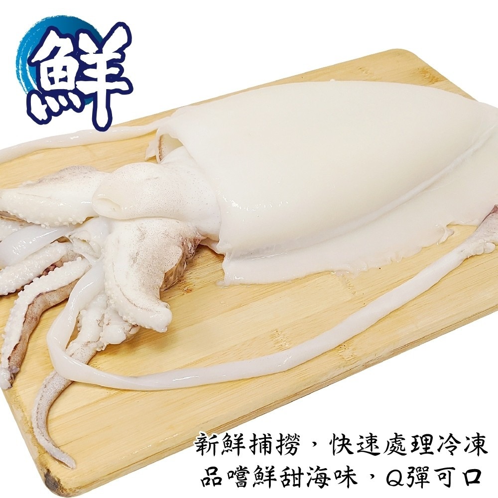 特級鮮Q甜肥厚大花枝(每隻400g±10%)【海陸管家】滿額免運-細節圖3