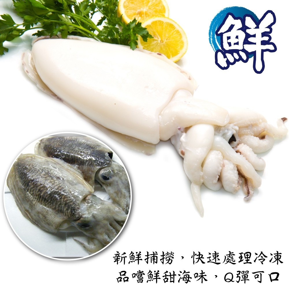 特級鮮Q甜肥厚大花枝(每隻400g±10%)【海陸管家】滿額免運-細節圖5