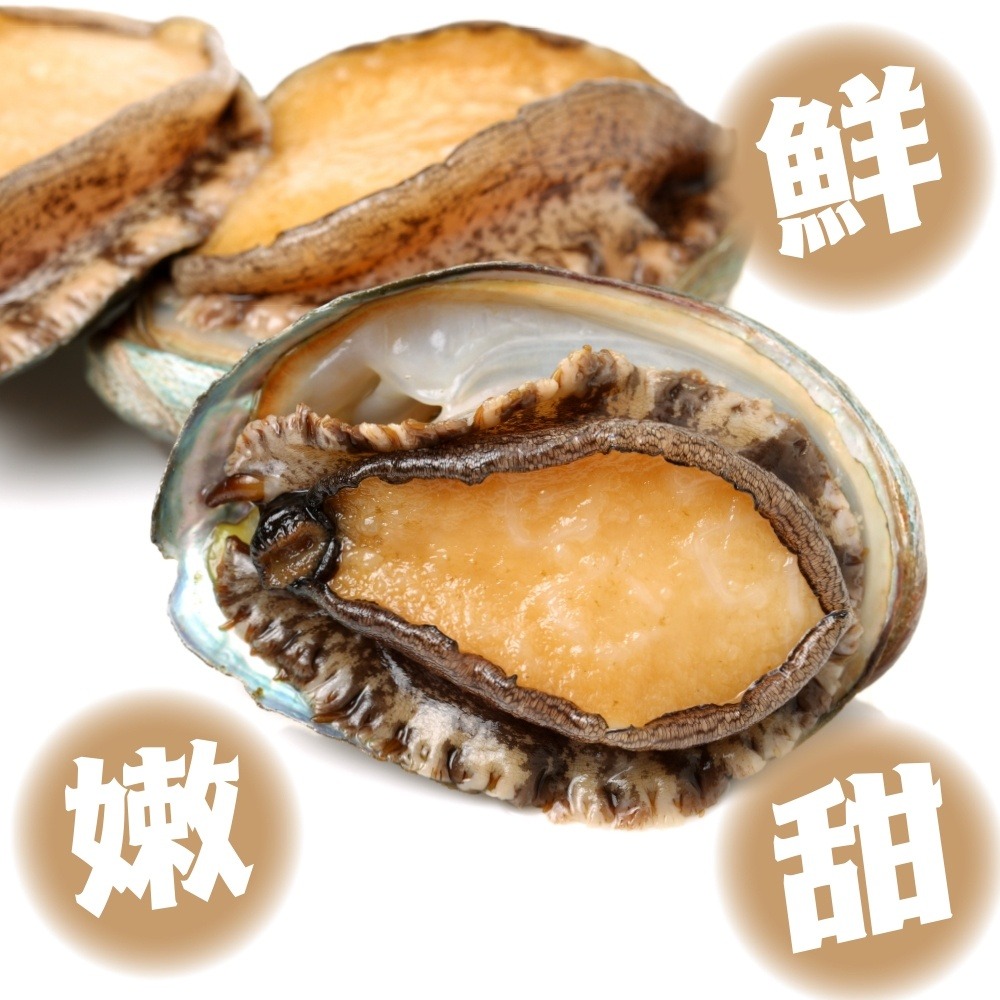 熟凍帶殼巨無霸鮑魚禮盒(每盒1kg±10%)【海陸管家】全省免運-細節圖7